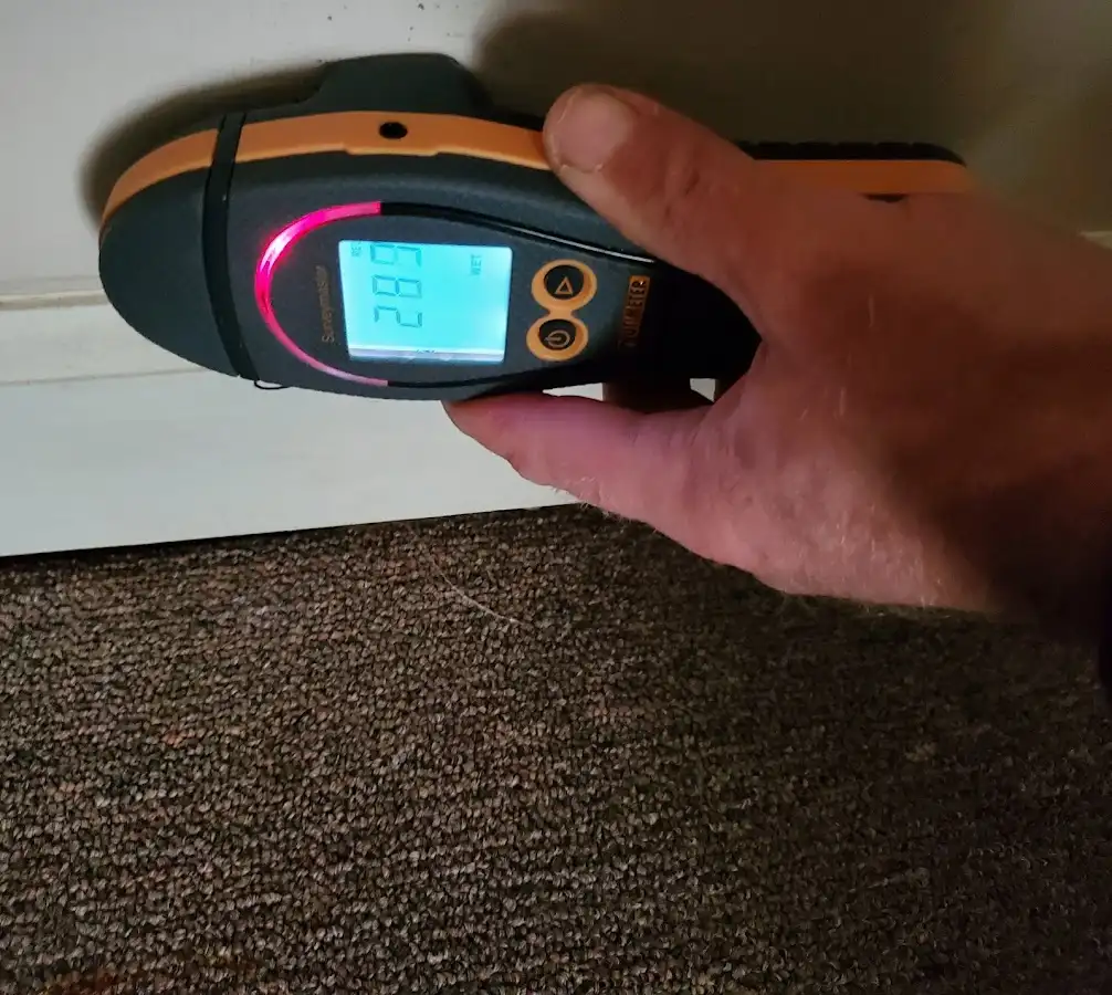 Moisture detection at baseboard during Sewage Cleanup & Sanitation in Royalton